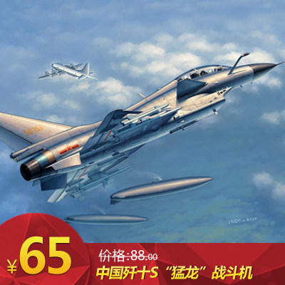 小号手 1/48 中国歼十S“猛龙”战斗机 02842