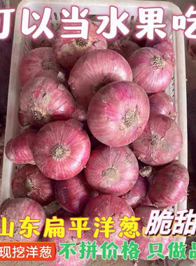 正宗山东河西二红扁洋葱老品种水果洋葱生吃脆甜多汁新鲜