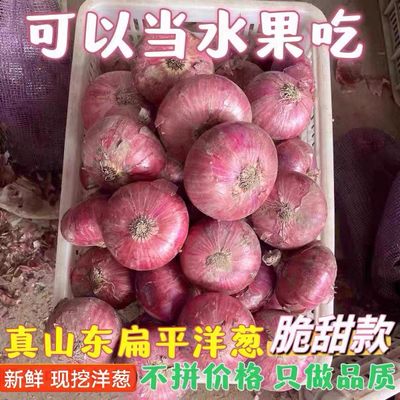 正宗山东河西二红扁洋葱老品种水果洋葱生吃脆甜多汁新鲜