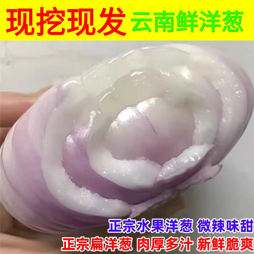 现挖新鲜山东二红扁圆水果洋葱可生吃甜辣生吃凉拌5斤