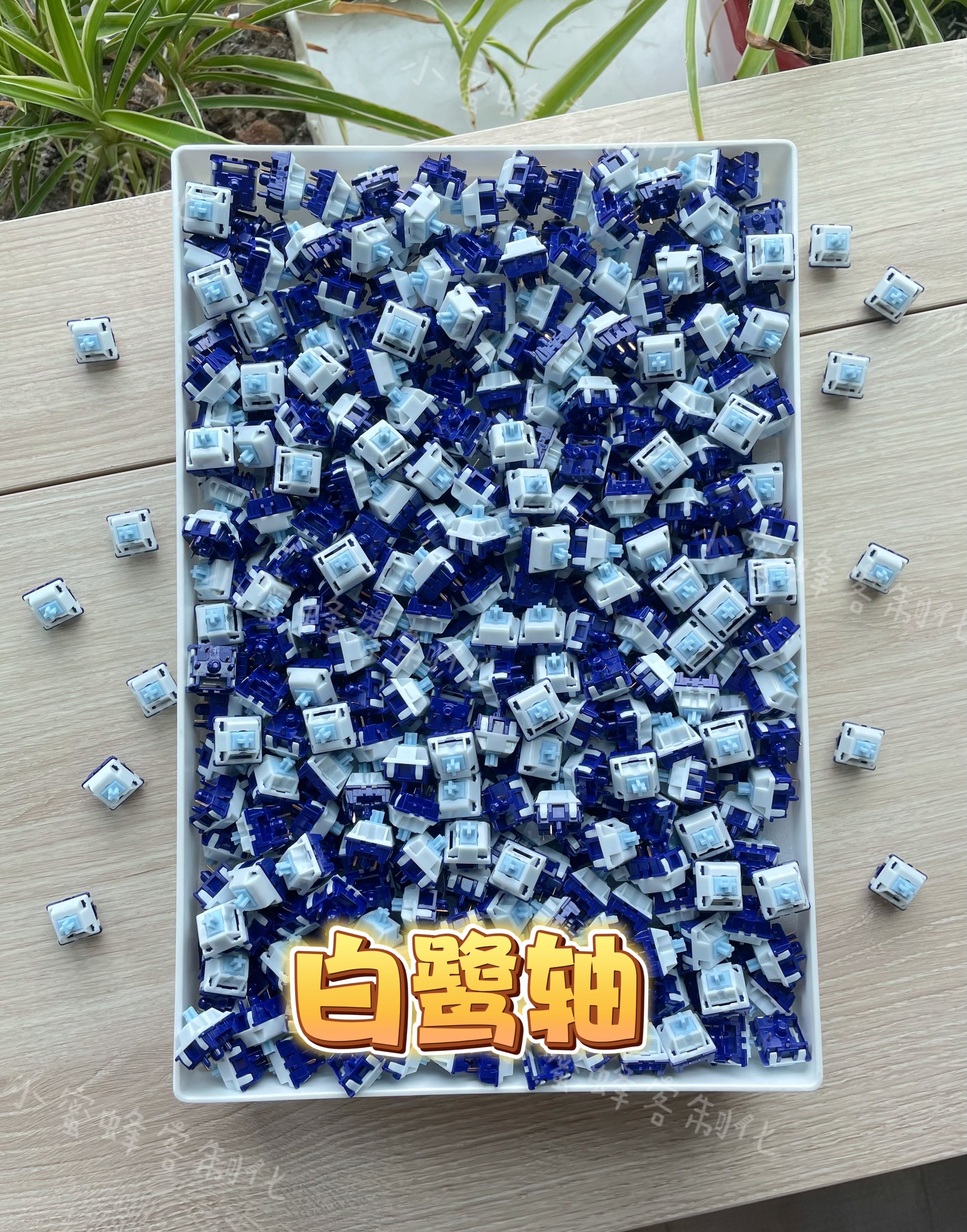 白鹭轴，小蜜蜂手工精润，正版米勒3204润滑，到手即用，麻将音。