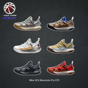 NikeACGMountainFlyGTX户外鞋
