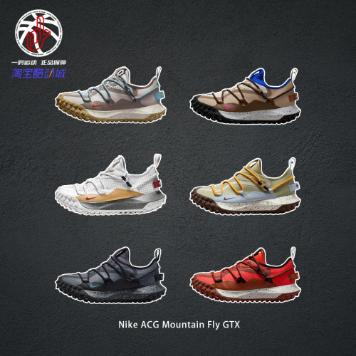 NikeACGMountainFlyGTX户外鞋