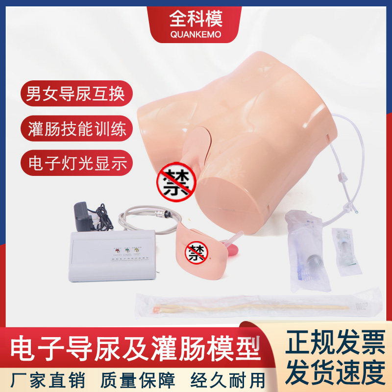全科模QKM电子导尿及灌肠教学实习模型H1D男女性别可互换训练假人