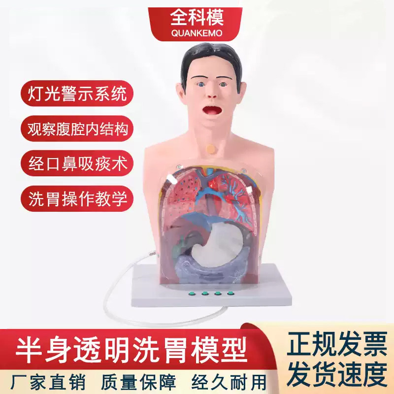 高级多功能透明洗胃训练模拟人胃肠减压口鼻伺插管置管护理模型