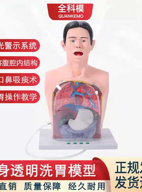 多功能透明洗胃训练模拟护理模型