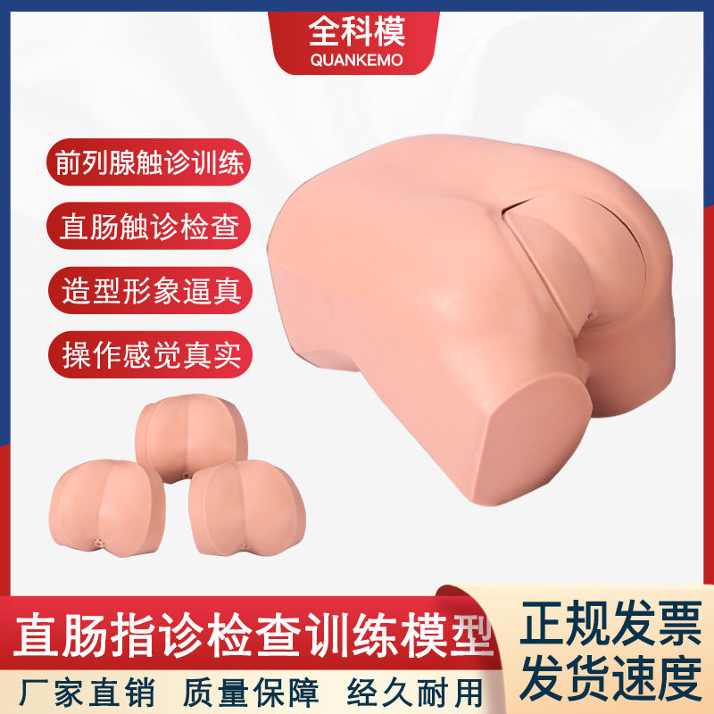 全科模LV39高级直肠指诊检查模型前列腺触诊 肛门息肉检查模拟人