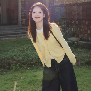 奶黄色假两件软糯针织毛衣开衫外套女春秋小个子宽松短款上衣