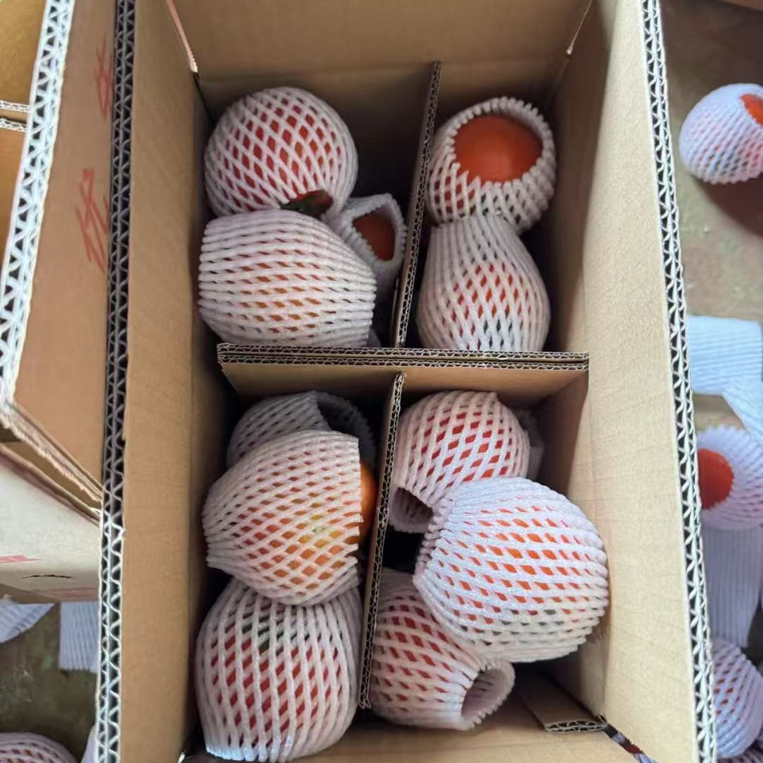 5�� С�� ɳȿ���������ڸ�ϲ�ò��ۺ�¶�촿��Ȼ���޴�������