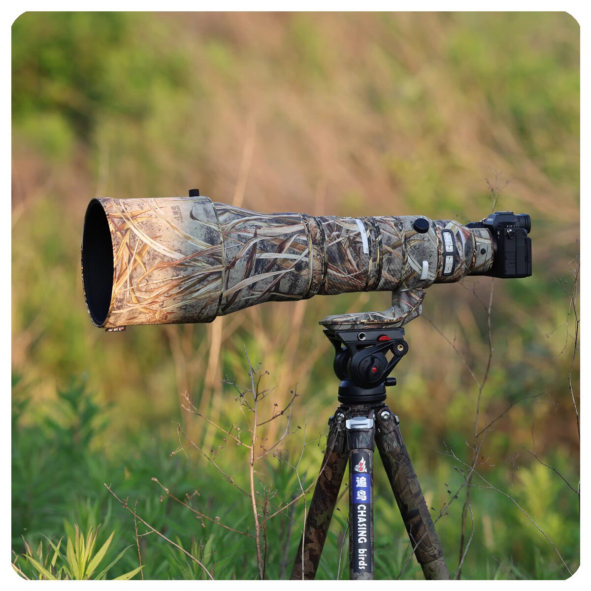 适用SIGMA适马300-600迷彩炮衣