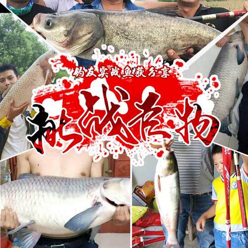 19调黑坑日本进口超轻超硬台钓竿
