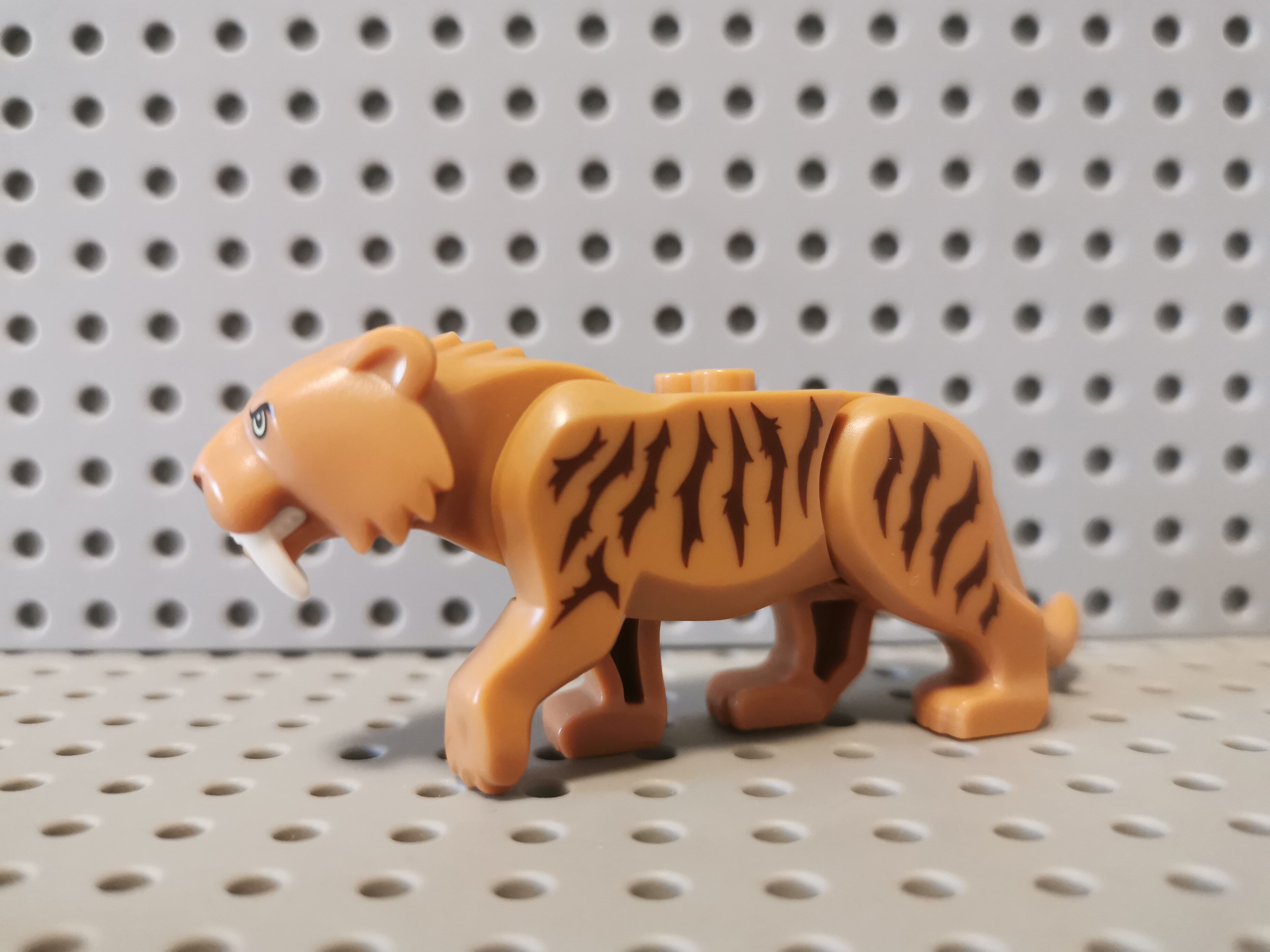 lego乐高 动物bb0787c03pb01 长牙剑齿虎 60193 60196