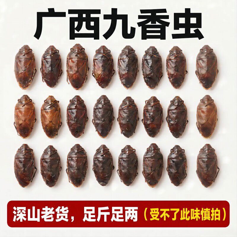 广西野生九香虫干货500克 自然晾晒打屁虫 臭大姐臭壳子虫