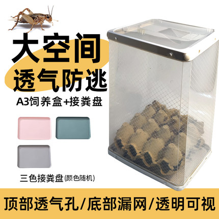 爬宠A3饲养盒透明组装盒透气漏粪便面包虫杜比亚 蛐蛐防逃饲养盒