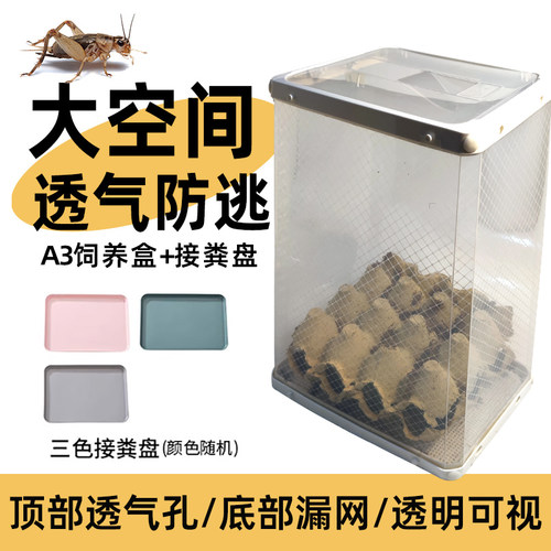 爬宠A3饲养盒透明组装盒透气漏粪便面包虫杜比亚 蛐蛐防逃饲养盒