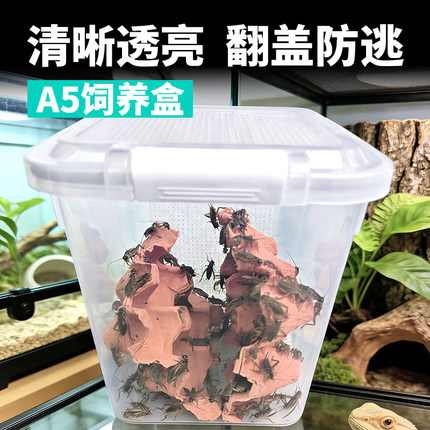 蛐蛐面包虫杜比亚翻盖透气透明漏粪防逃防臭昆虫饲养盒A5