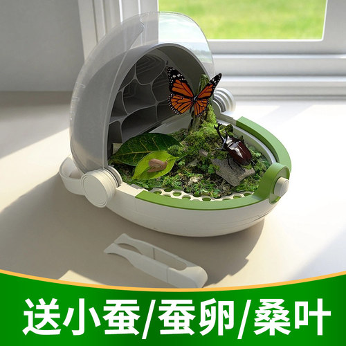 蚕宝宝别墅饲养箱学生课程养蚕