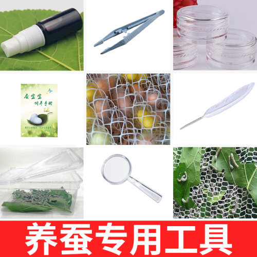 养蚕专用工具10件套蚕宝宝饲养盒镊子羽毛放大镜孵化盒结茧网