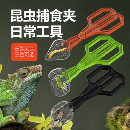 爬虫蜥蜴龟蜥蜴青蛙蜘蛛面包虫杜比亚蟋蟀蟑螂透明夹子清洁工具