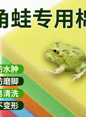 角蛙专用棉超细海绵角蛙棉黄色角蛙海绵垫材过滤棉不磨脚不变形