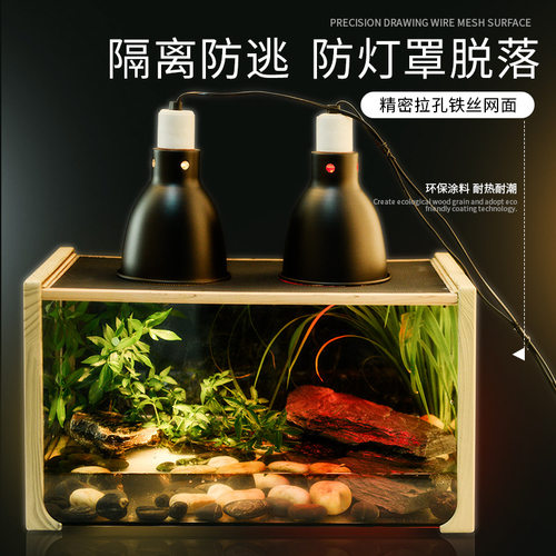 木纹雨林守宫角蛙饲养网箱水陆缸