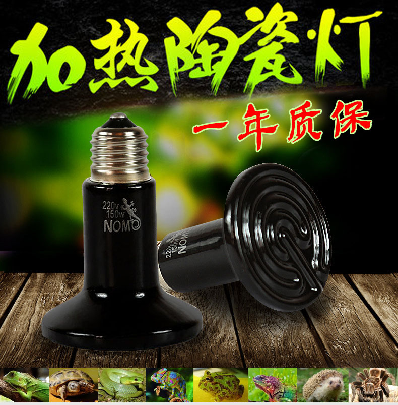 爬宠陶瓷加热灯泡爬虫蜥蜴