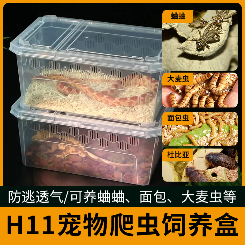 H11宠物爬虫饲养箱蜘蛛守宫蜥蜴蝎子角蛙蜈蚣塑料乌龟幼体饲养盒