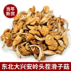 东北大兴安岭菌菇滑子蘑蘑菇干货滑子菇小黄蘑香菇滑子菇包邮500g