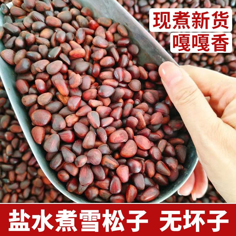 新货水煮松子盐水煮松子野生雪松子东北大兴安岭咸味湿松子500克