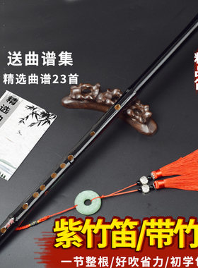 魔道陈情紫竹一节横笛儿童笛子初学成人专业D零基础E黑色F竹笛G调