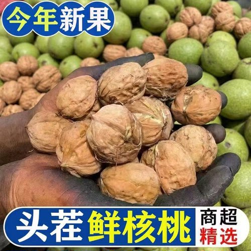 2026新鲜核桃当季去青皮鲜核桃湿核桃大凉山嫩核桃整箱包邮