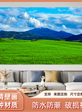 聚宝盆靠山画大草原草地背景招财客厅贴纸壁纸自粘海报画风景贴画