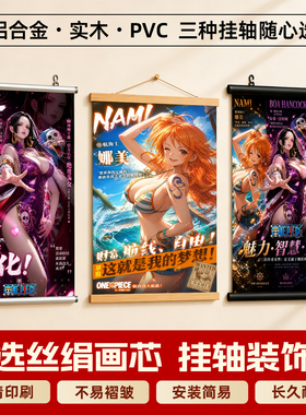 航海王娜美女帝汉库克性感海报实木挂画铝合金挂轴客厅罗宾装饰画