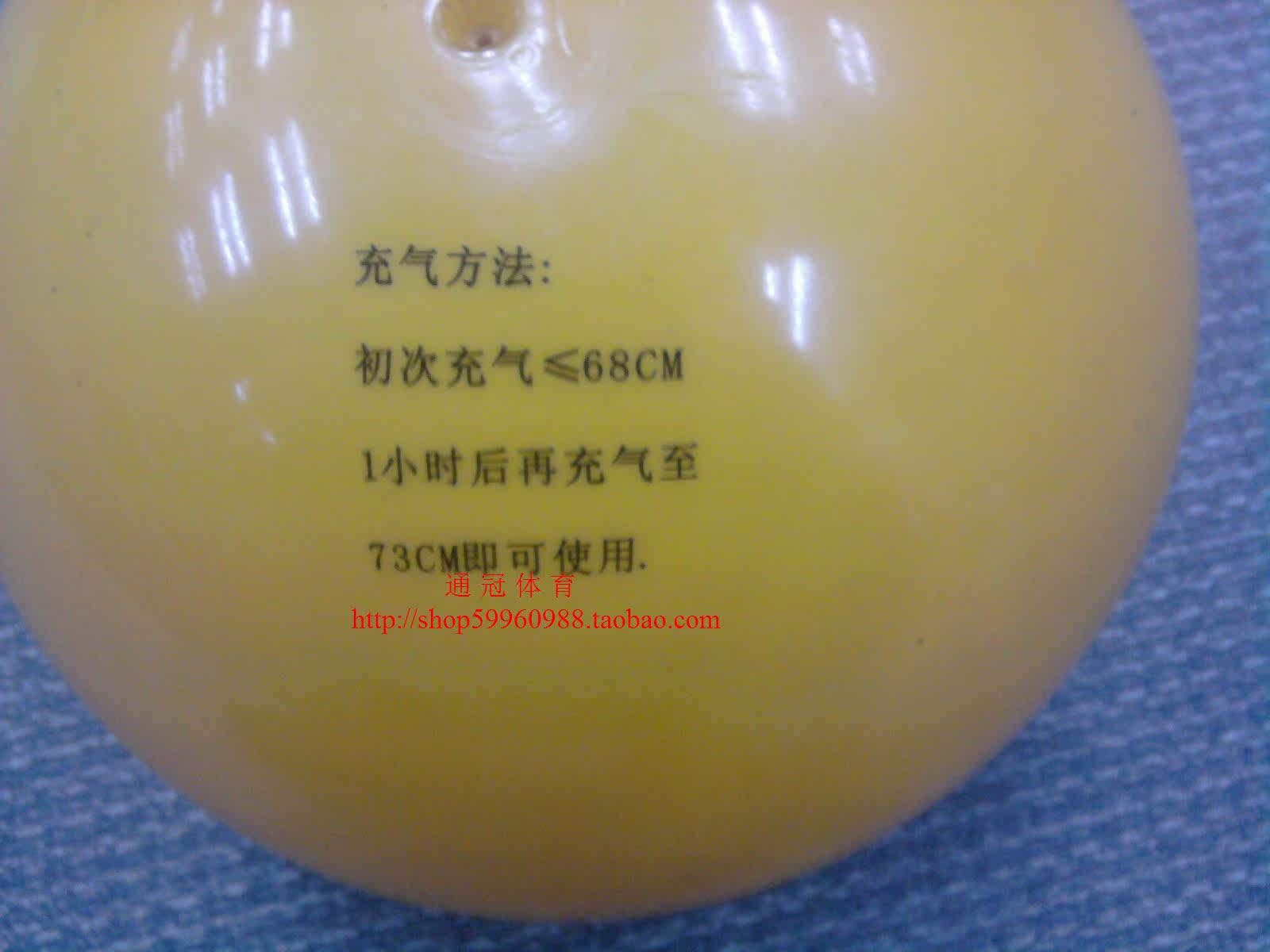 Ballon de volley-ball - Ref 2013706 Image 4
