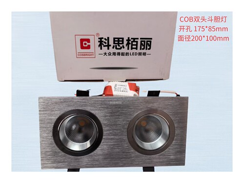 科思栢丽led双头射灯吊顶格栅灯嵌入式斗胆灯  开孔尺寸175*85mm