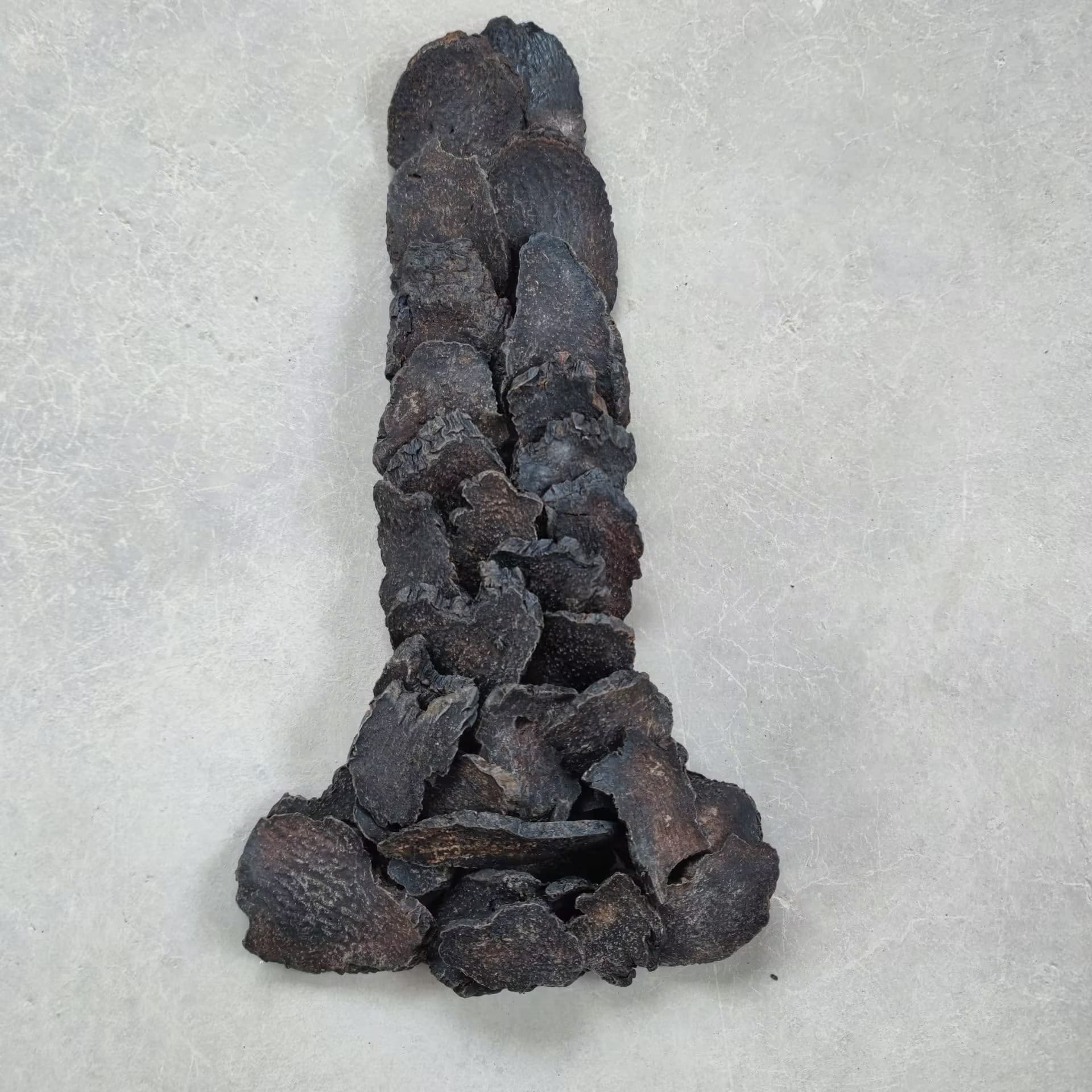 野生肉苁蓉中药材滋补泡酒料