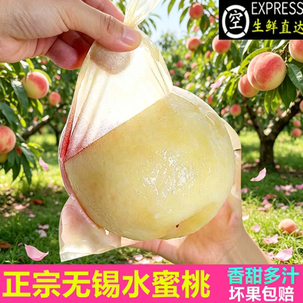 正宗无锡水蜜桃白凤新鲜水果当季整箱湖景现摘爆汁软甜大桃子礼盒