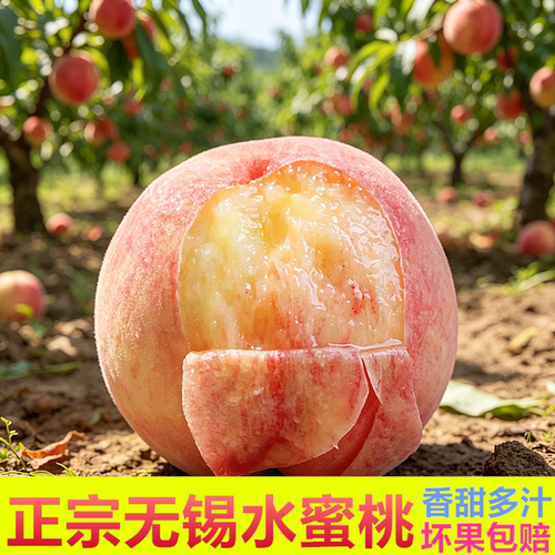 正宗无锡水蜜桃新鲜水果当季整箱湖景现摘白凤爆汁软甜大桃子礼盒