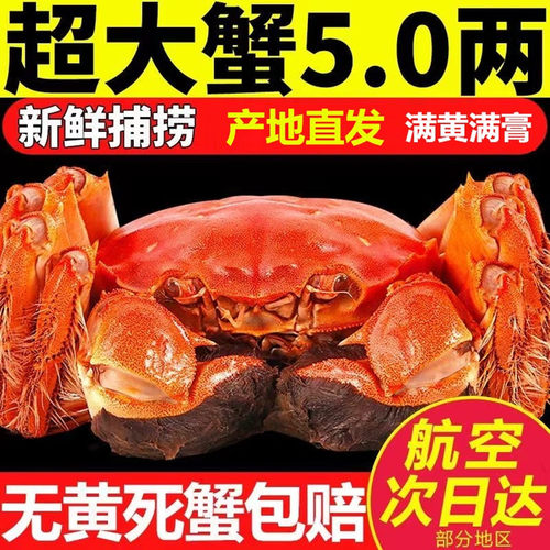 活蟹兴化红膏大闸蟹大螃蟹