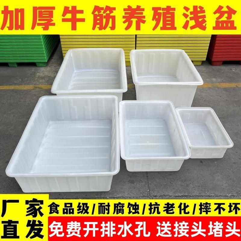 全新牛筋塑料水箱水产养殖海鲜摆摊大号工地搅拌砂浆盆周转浅盆