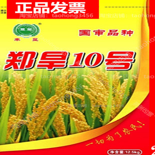 旱稻种子郑旱10号圆粒可留种江苏安徽山东河南麦茬地高产水稻种子