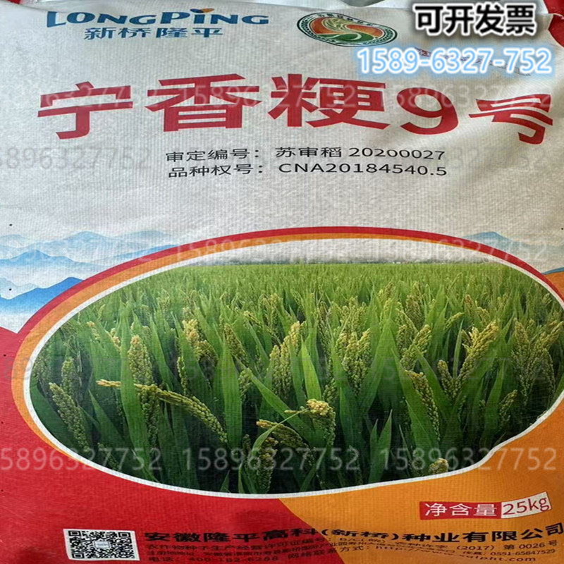 水稻种子宁香粳9号香稻谷种子圆粒香米种子优质高产50斤原装正品