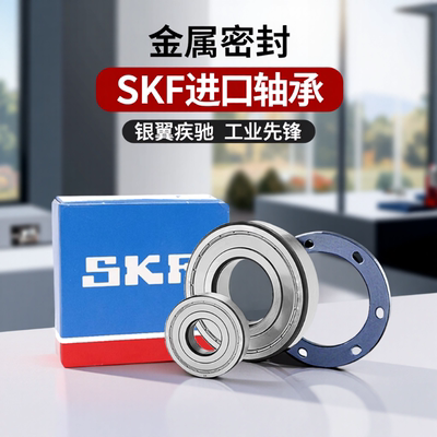 SKF进口轴承632063216322