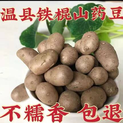 山药豆正宗河南焦作温县铁棍怀山药蛋子垆土地香甜粉糯蔬菜怀山药