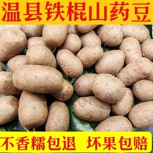 山药豆正宗河南焦作温县铁棍怀山药蛋子垆土地香甜粉糯蔬菜怀山药