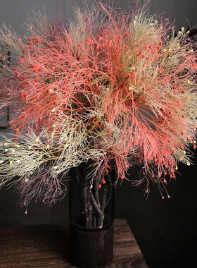 永生花梦幻草柔丝云南天然干花真花手工diy花材婚庆家居民宿装饰