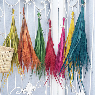 【永生花喷泉草】喷泉花干花花穗灵动花材DIY耳环干花插花配草