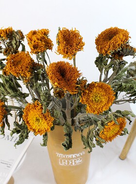 泰迪向日葵干花朵真花多花头油画风格云南干花高级感真花花束