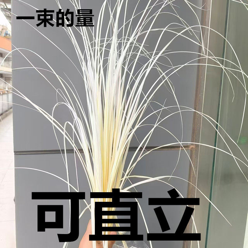 云南干花婚庆婚礼大堂花
