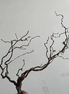 龙枣枝天然枯藤藤条装饰藤造型造景枯树山藤藤蔓树枝茶艺